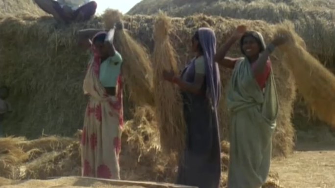 印度农民