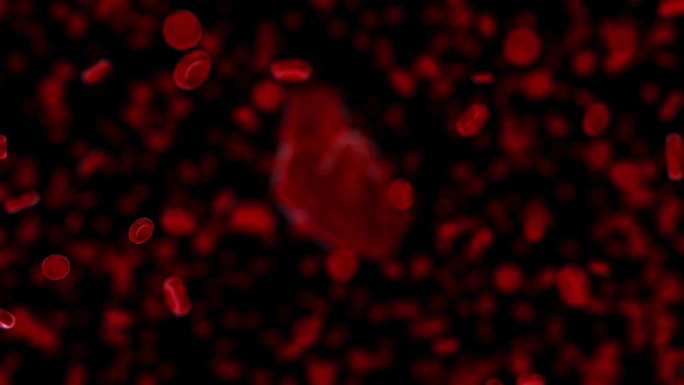 红细胞和心脏跳动医学动画