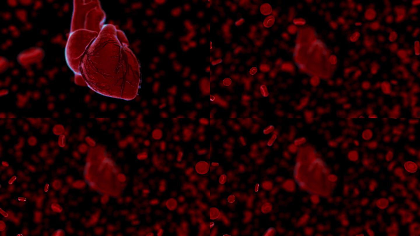 红细胞和心脏跳动医学动画