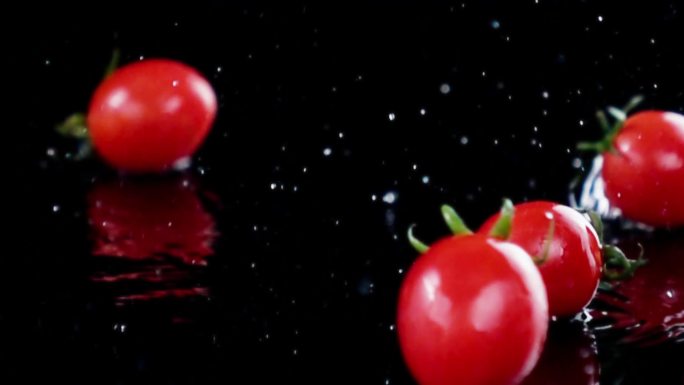 西红柿蕃茄小蕃茄高清美食素材
