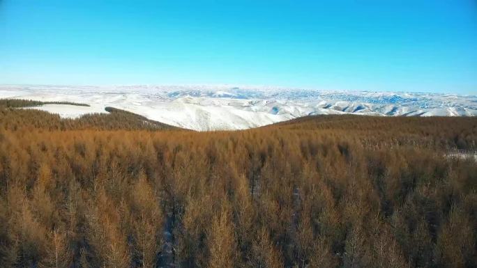 航拍内蒙古草原雪景震撼雪山