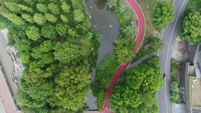 上海浦江两岸的跑道