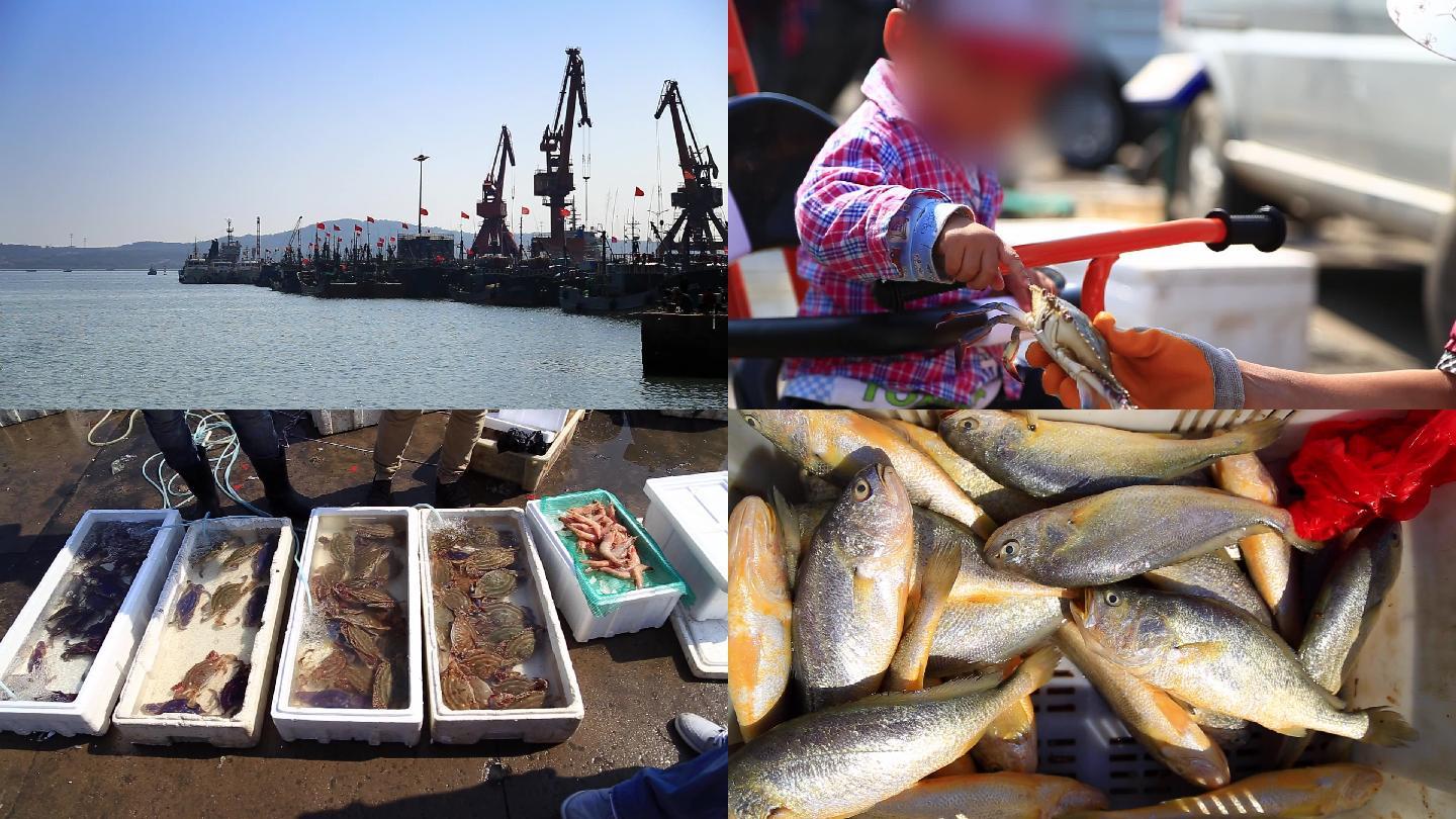 北方渔港海鲜市场渔民劳动