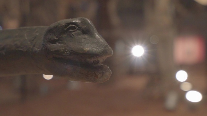 重庆自然博物馆里的恐龙模型