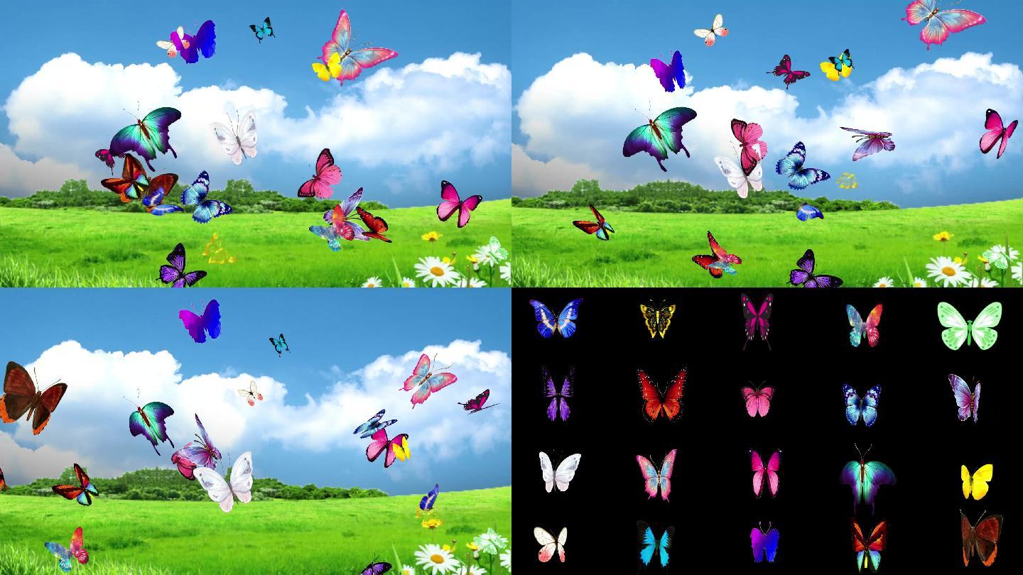 20种风格蝴蝶沿任意方向飞舞（ae三维）