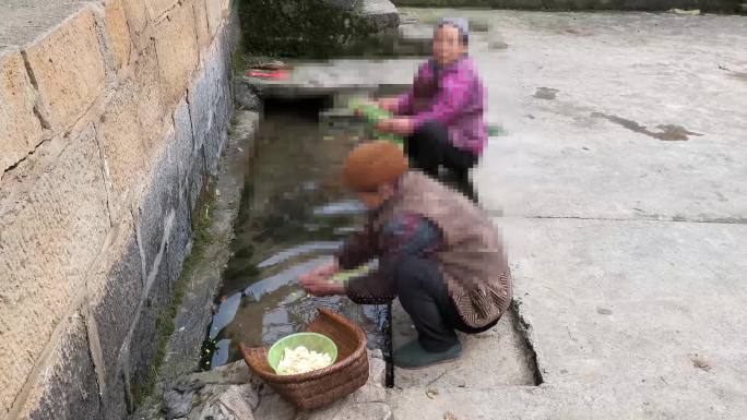 3组农村妇女洗菜生活38秒