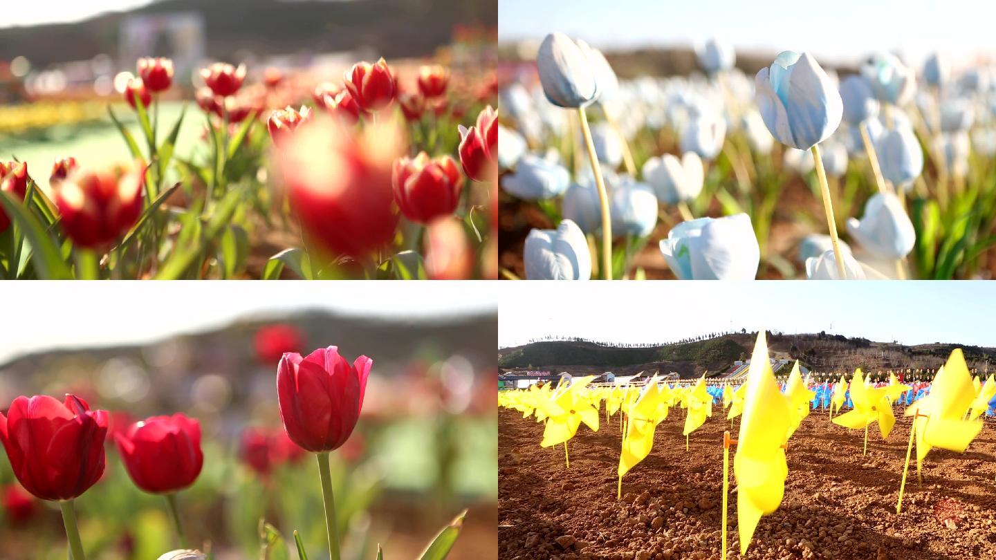 花海郁金香花海世界