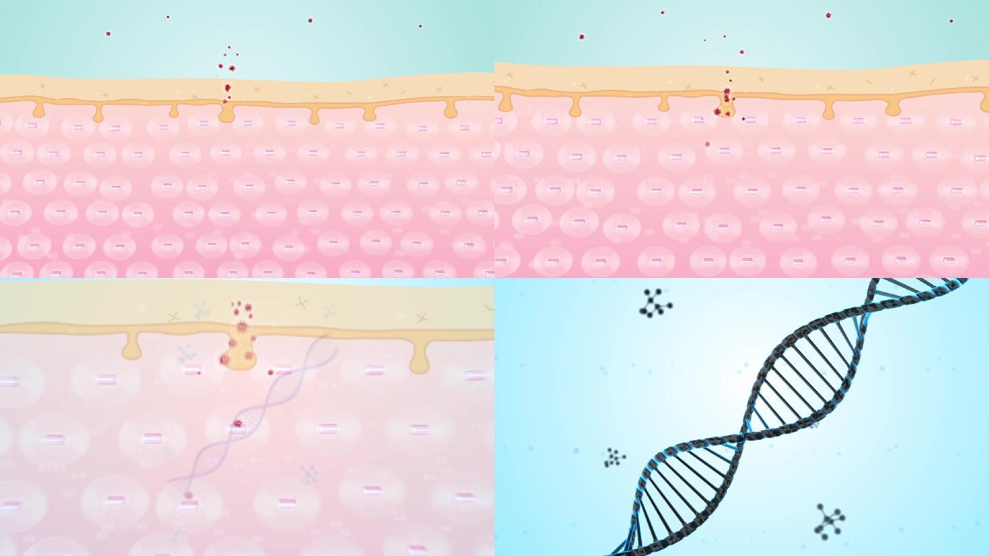 卡通细胞DNA病毒视频