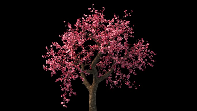 桃树无缝循环