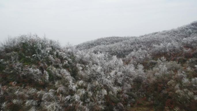 航拍冬天高山山林凝冻