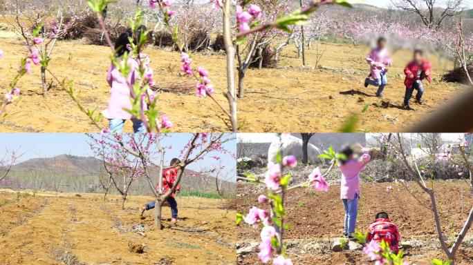 4K春天小孩子在桃花园里玩耍-山村乡村