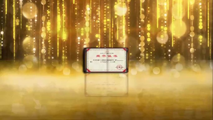 大气金色粒子企业荣誉奖状证书奖牌产品展示