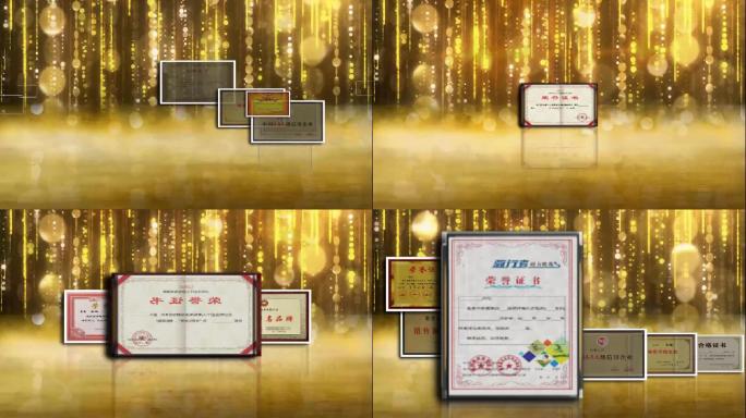 大气金色粒子企业荣誉奖状证书奖牌产品展示