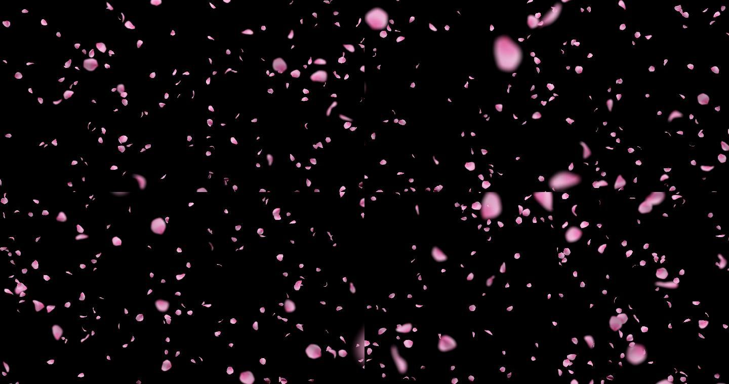 唯美花瓣粒子上升粉色4K循环