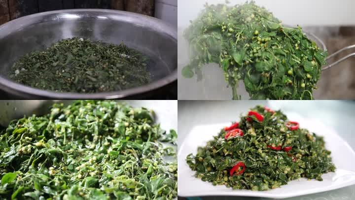 龙柏芽野菜采摘,制作