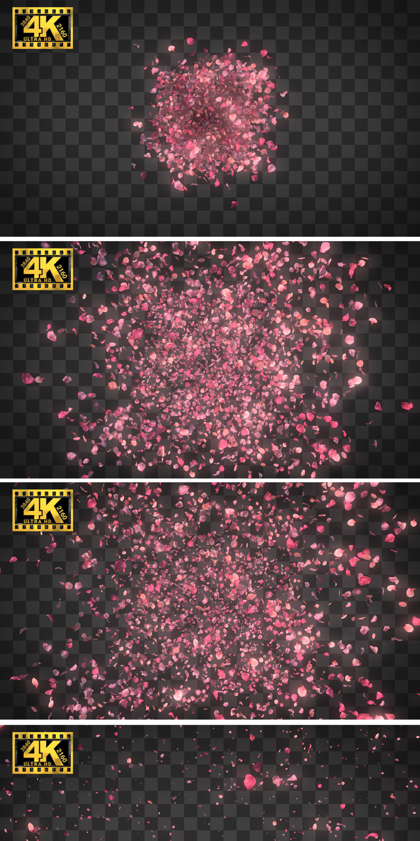 【4K】真3D花瓣爆炸扩散桃花樱花