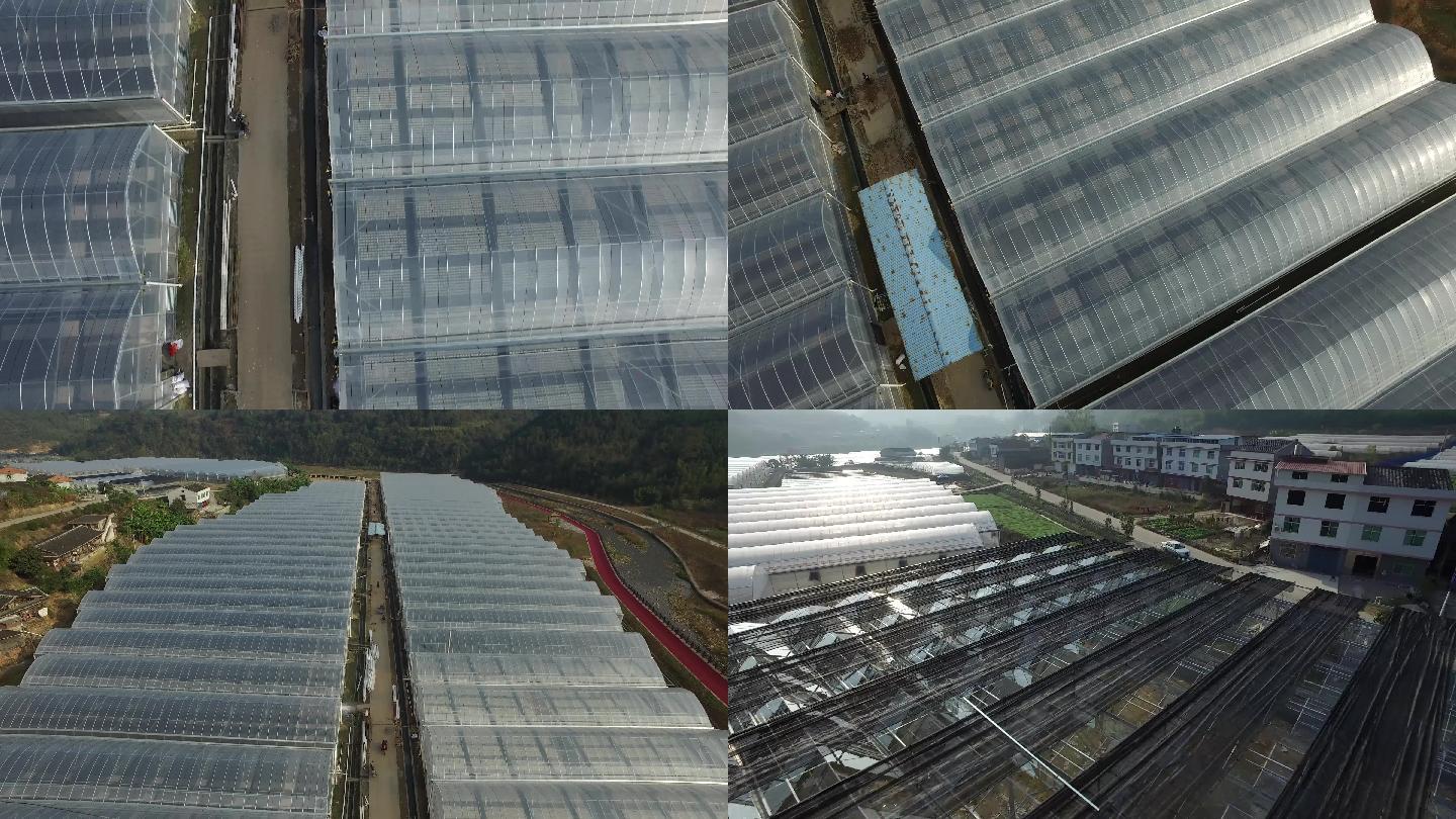 中国大棚种植基地航拍玻璃房航拍