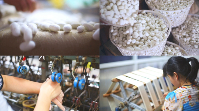 蚕丝蚕茧丝绸生产