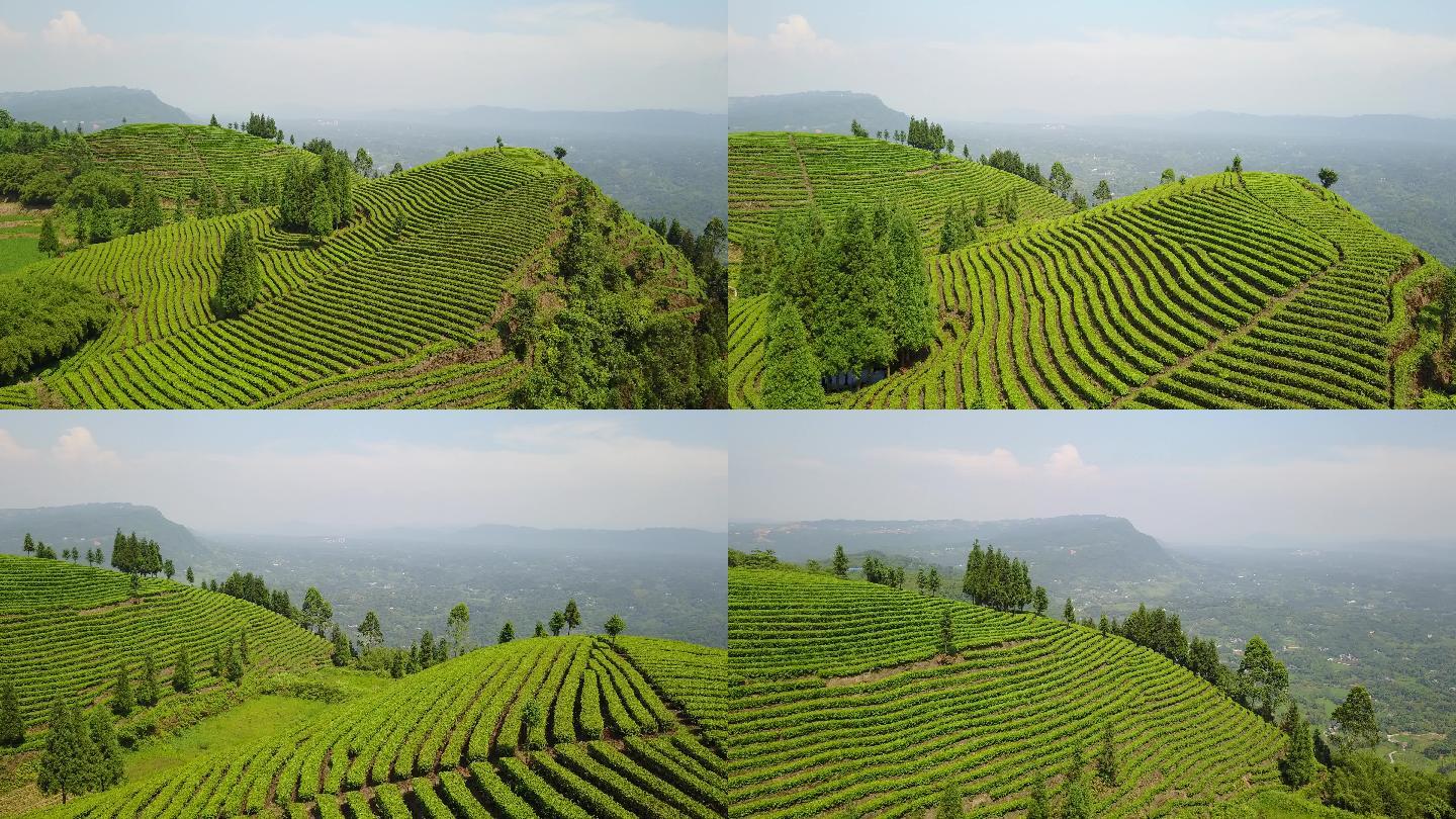 航拍鸟瞰4k茶山素材风景风光_3840x2160_高清视频素材下载(编号