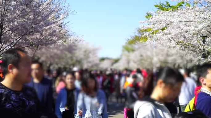 公园人群人海人流延时节假日游客人群