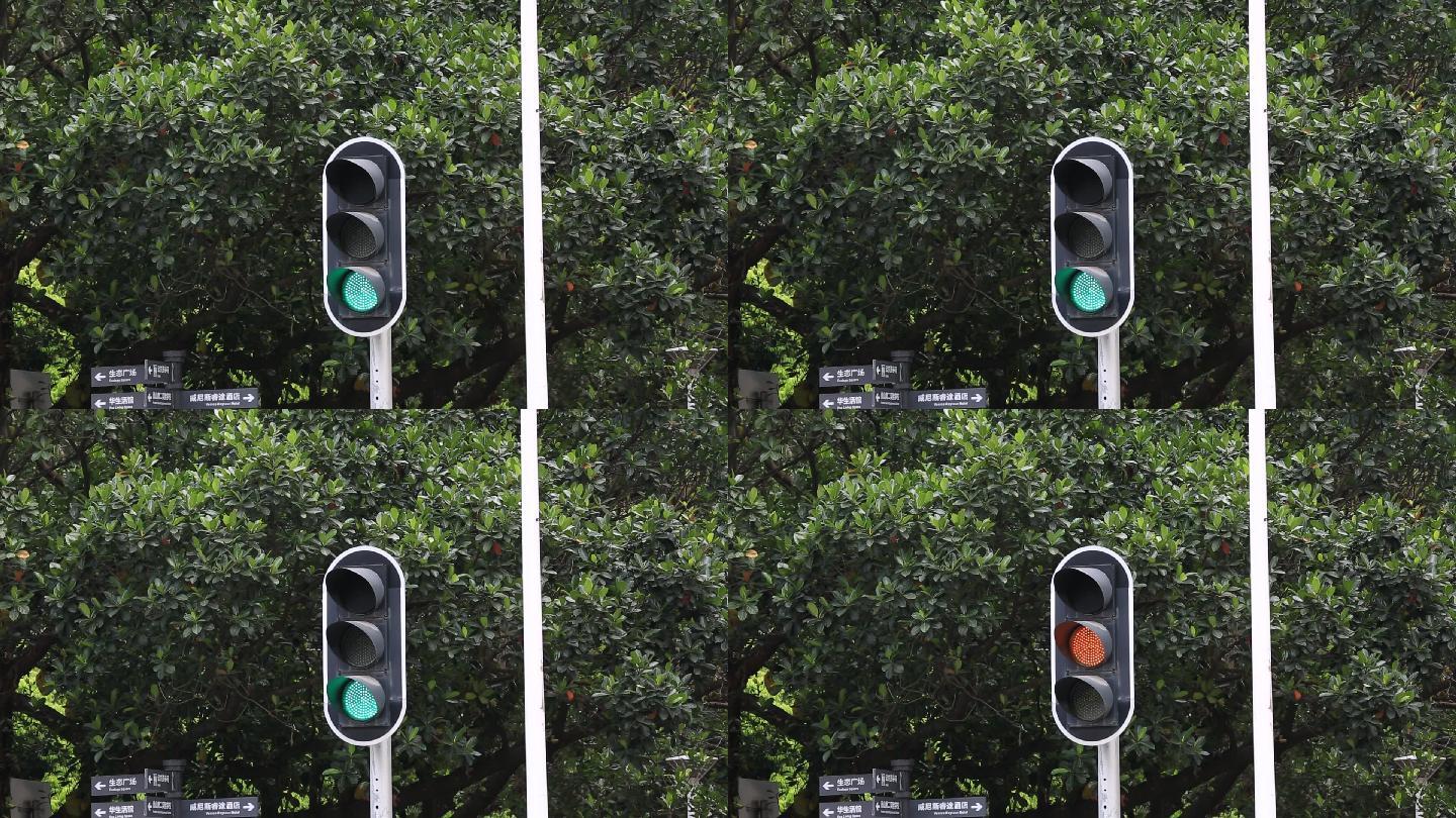 新国标红绿灯信号灯图解官方（2022最新信号灯8种组合大全）_商机洞察