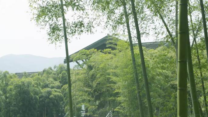 竹林风起美景自然