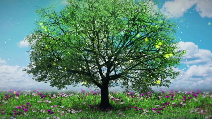 唯美大树生长AEC4D工程