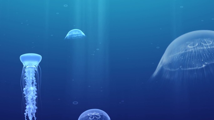 梦幻海洋水母游动上升宽屏视频