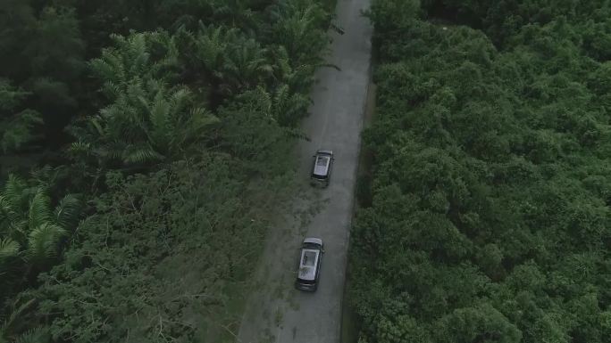 汽车行驶在林间小道