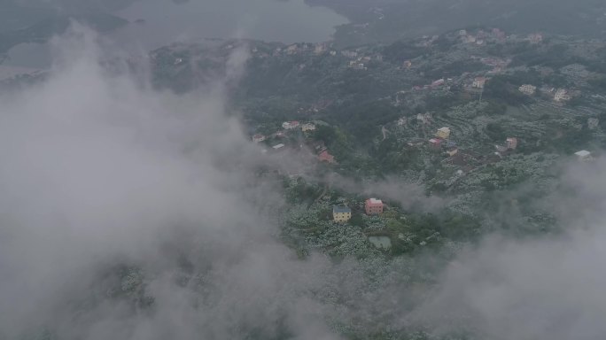 莆田市荔城区九华山云海航拍