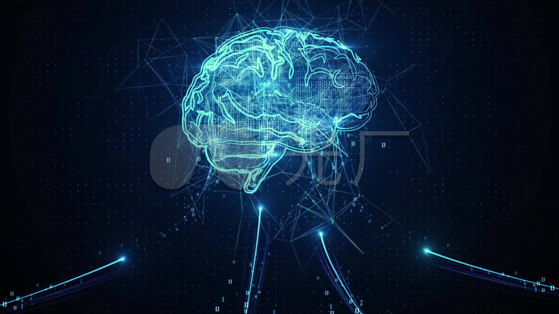 大脑神经可塑性——终身成长的底层机制 | 芒格学院