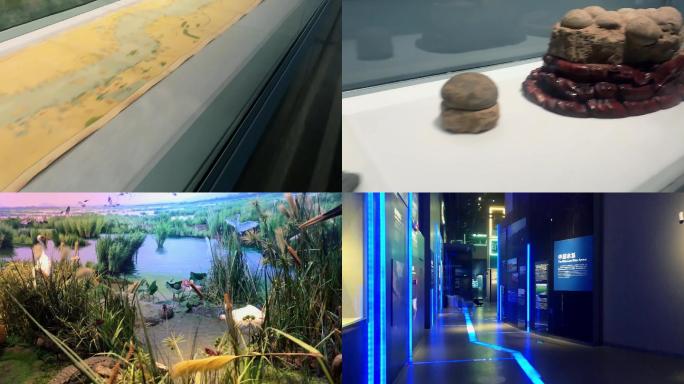 4K参观自然科学博物馆-长江流域