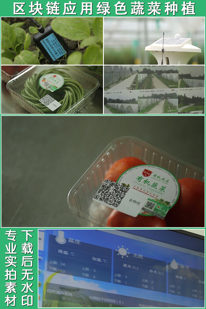 绿色食品有机蔬菜种植