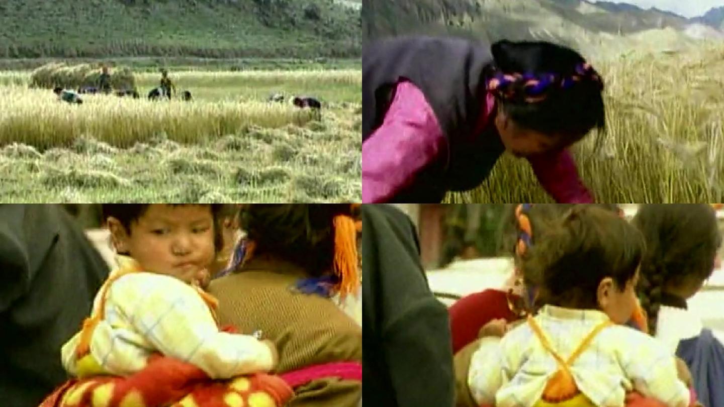 80年代西藏拉萨视频