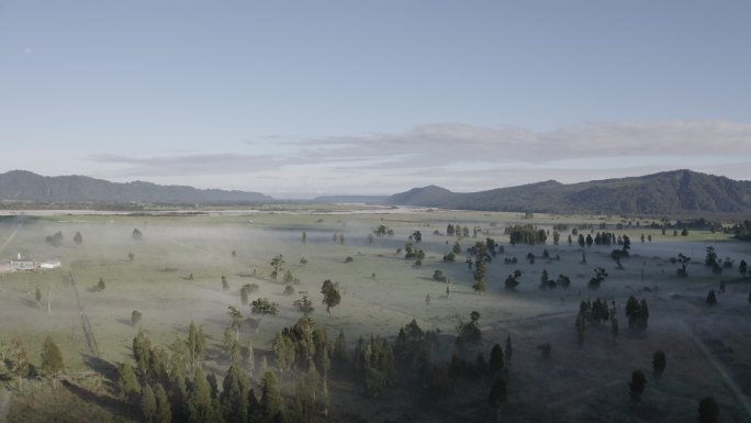 新西兰田园晨雾