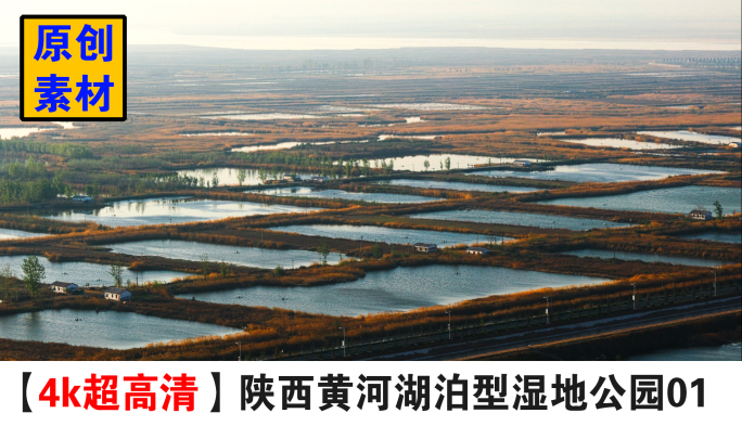4K陕西黄河湖泊型湿地公园01