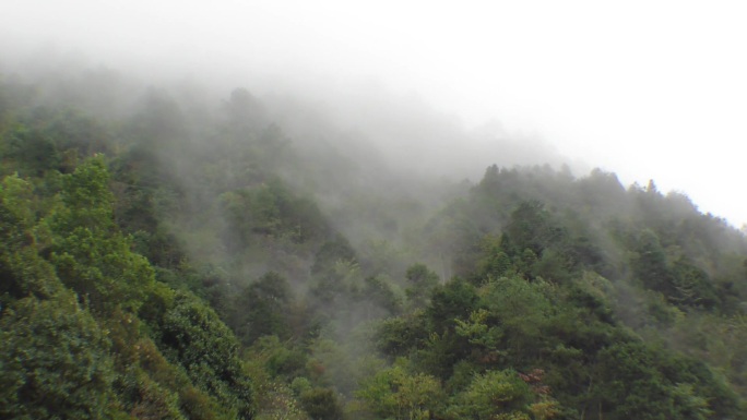 大瑶山烟雨朦胧