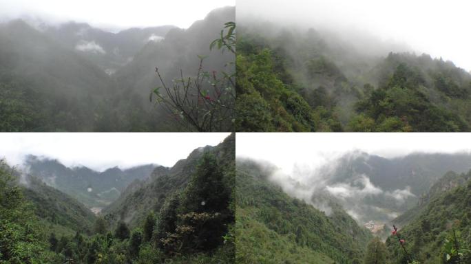 大瑶山烟雨朦胧