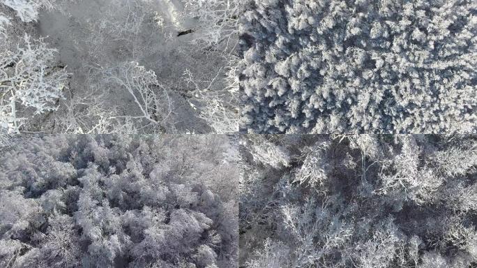 冬季树林森林下雪雪后雾凇树挂景色航拍