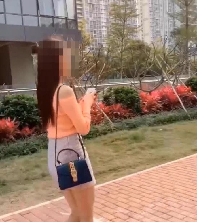 美女扔名片无插件微信AE小视频模板