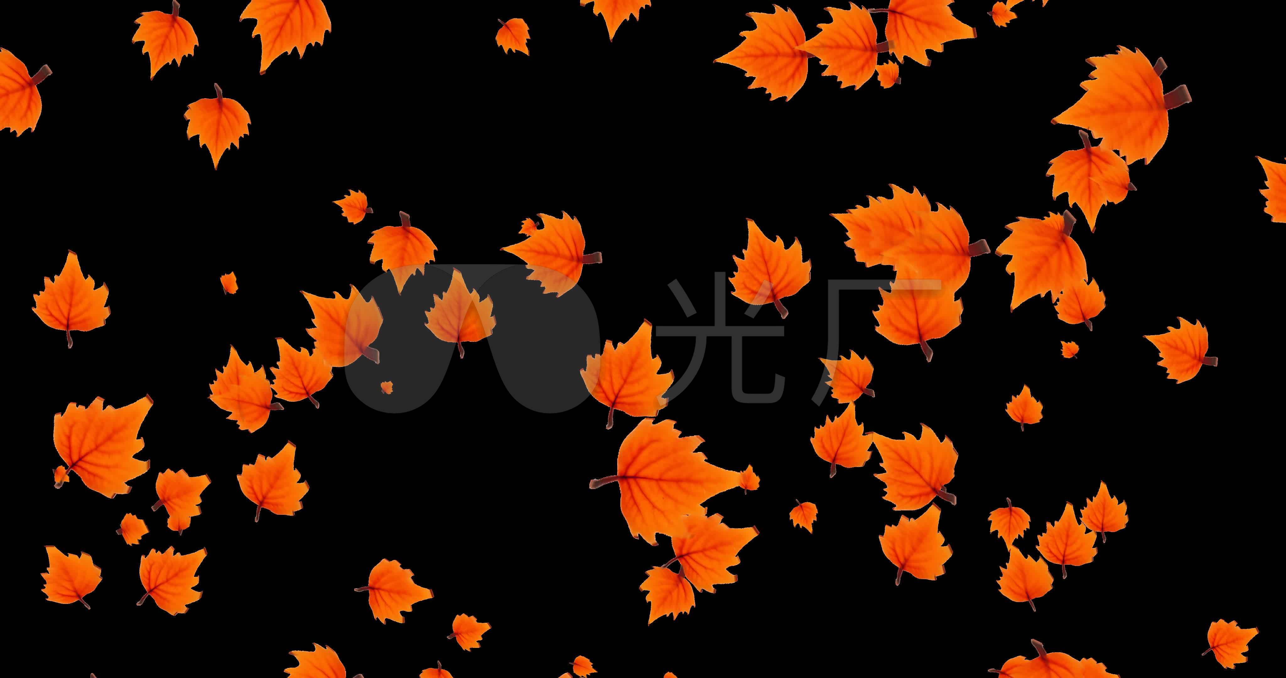 秋天：金秋的落叶宽屏壁纸_我爱桌面网提供