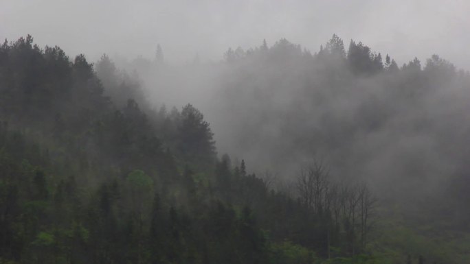 武陵山云雾
