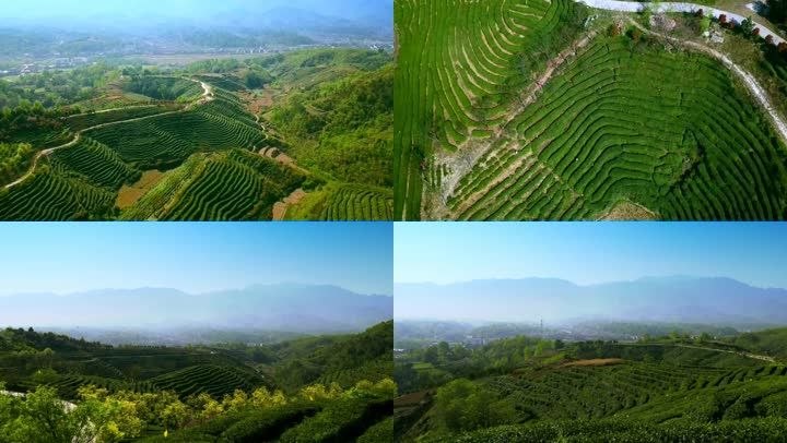 茶山航拍风光_1920x1080_高清视频素材下载(编号:3488357)_实拍视频