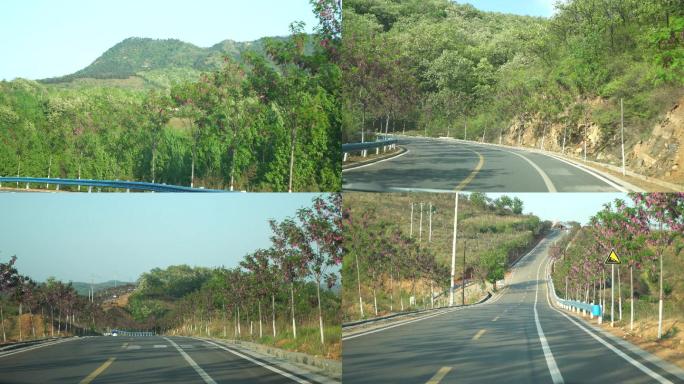 4K小界槐花长廊盘山公路