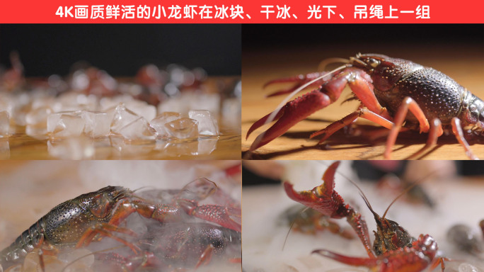 鲜活小龙虾4K