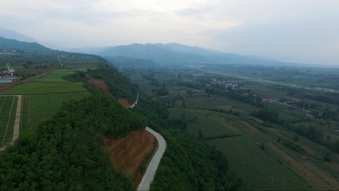 山路远山田地葡萄架