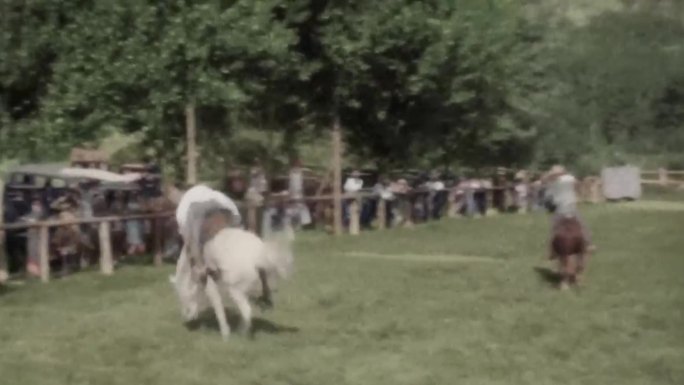 30年代驯服野马