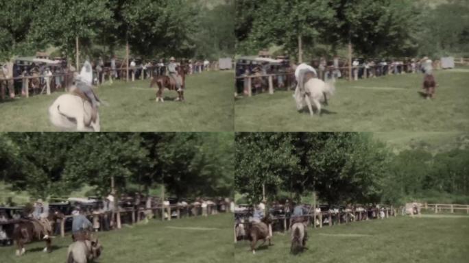 30年代驯服野马