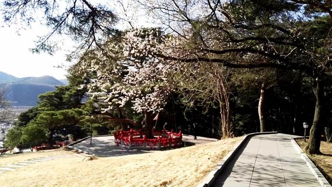 吉林延吉东来寺