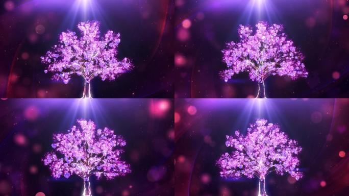 粉色浪漫树桃花背景循环4K